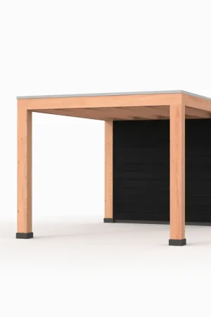 Betrouwbaar Douglas overkapping, 300 x 400, met zwarte achterwand, Westwood Modern